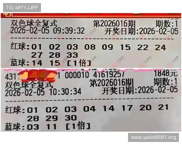 b体育平台深度解析：如何安全高效地进行体育投注